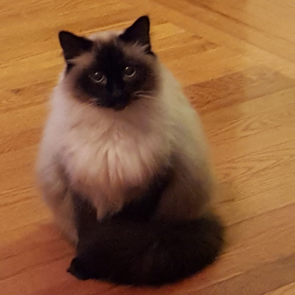 Meet your Posher, Jennifer